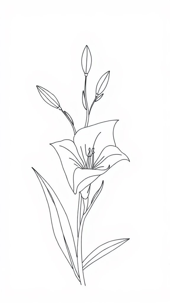 easter lily artistic illustration