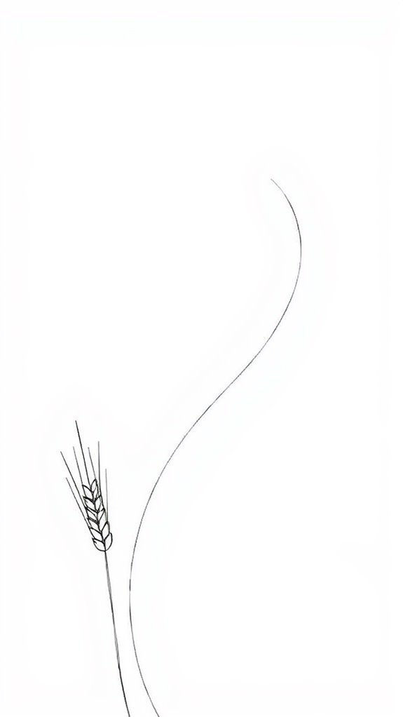 elegant single line wheat illustration