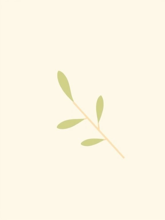 olive branch minimalist clipart