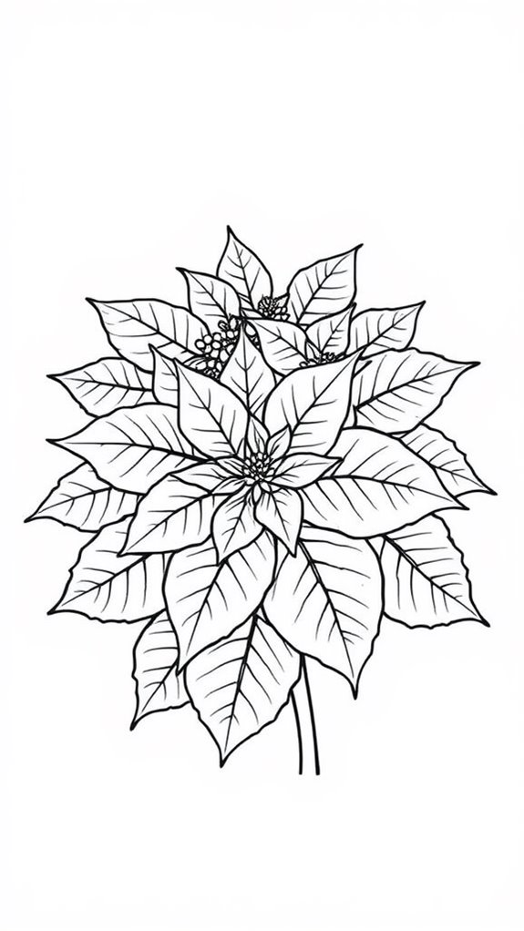 poinsettia coloring activity page